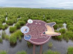 -花湖生态旅游区