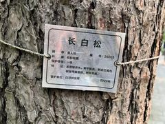 -美人松苑