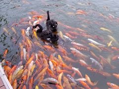 -春晖园度假酒店温泉