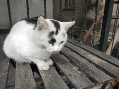 -二楼南书房