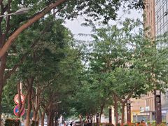 -乐汇城