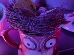 -MOSSO音乐酒吧·live house(南京旗舰店)