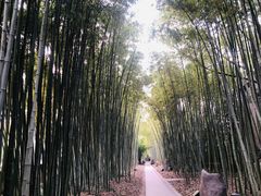 -上海市龙华烈士陵园