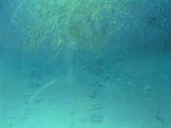 -白鹤梁水下博物馆