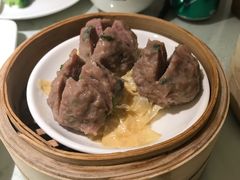 -南枝记