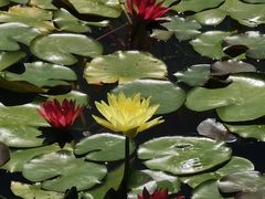 -国家植物园南园