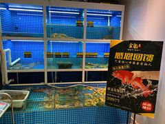 -金龙·打边炉(南京西路店)