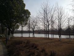-长广溪湿地公园