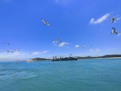 -海驴岛(荣成市)