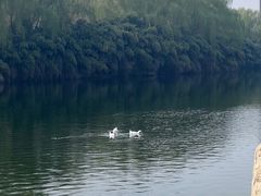 -西安汉城湖景区