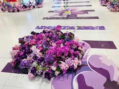 -砂之船奥特莱斯(合肥店)