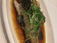 -金翠皇宫粤菜·点心·海鲜(科技园店)
