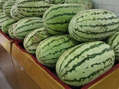 -全而廉(靖宇中路店)