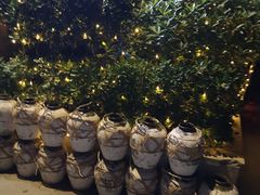 -有才叔北京时间涮肉(紫薇尚层店)