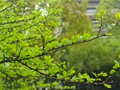 -南华大学(红湘校区)