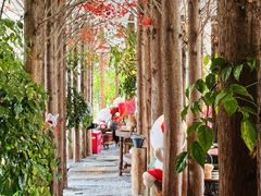 -唐猫庭院·千年陕菜(大唐不夜城店)