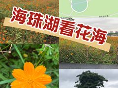 -海珠湖公园