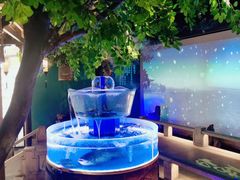 -佬麻雀·剁椒鱼头(京基KK One店)