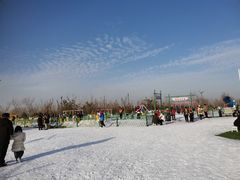 -绿野森林乐园冰雪季