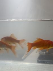 -春田皮肤管理中心品牌旗舰店
