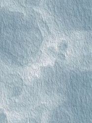 -Sugar苏格婚礼策划工作室