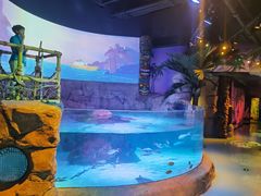 -沈阳海洋探索中心