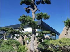 -罗红摄影艺术馆