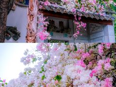 -深圳国际园林花卉博览园