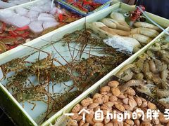 -大湾区中央湿地公园-十九涌