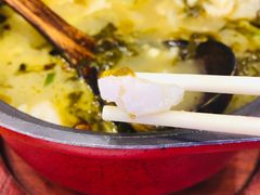 -周鱼小馆石锅酸菜鱼(活力汇店)