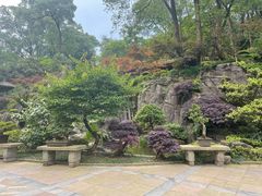 -南山植物园