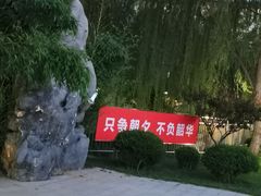 -黄村公园
