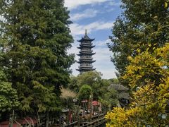 -乌镇西栅景区