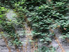 -也枫·小黄楼(南山路旗舰店)
