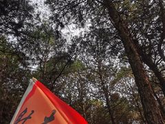 -客乐得玉峰山房车营地