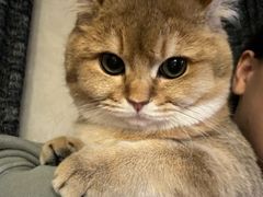 -中农国际动物医院24小时·猫科·骨科·急重症中心