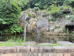 -青青世界