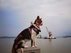 -南沙天后宫景区