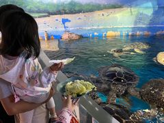 -烟台海昌鲸鲨海洋公园