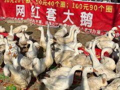 -辛庄国际文化艺术区