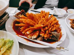 松鼠桂鱼-刘胖子家常菜·蹄花焖藕(中南店)