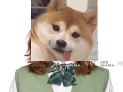 -天真蓝照相馆(宁波来福士店)