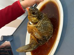 罾蹦鲤鱼-奥华餐厅·老张记(台基厂店)