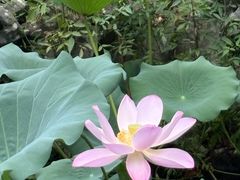 -嘉北郊野公园