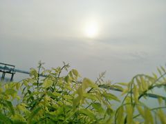 -天津金海湖