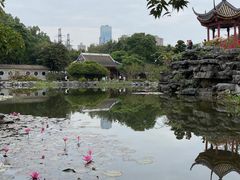 -顺峰山公园
