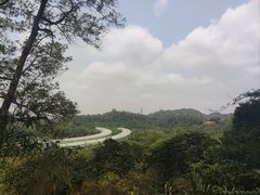 -深圳仙湖植物园