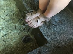 -明谷行馆·温泉