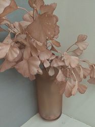 -Lily纤美·科技减脂中心