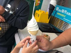 鲜椰奶冰淇淋-自然椰·海南清补凉(海月广场店)